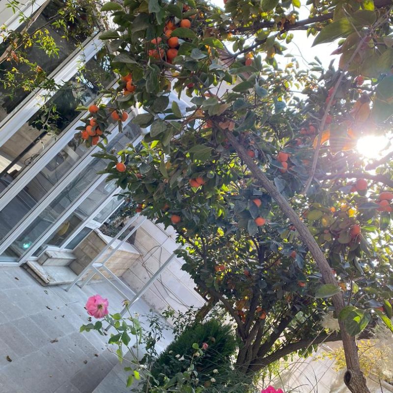 WhatsApp Image 2020-11-02 at 15.05.57-min